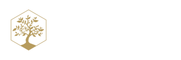 The Dutch Healer
