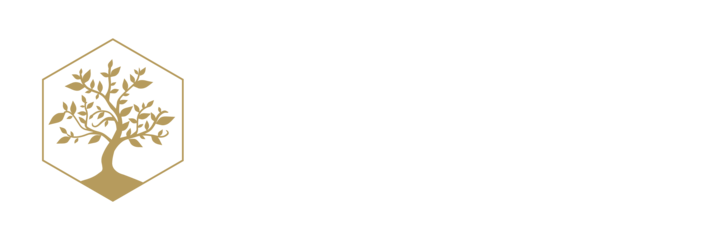 The Dutch Healer